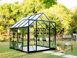 Greenhouse Growing: From Seeds to Harvest