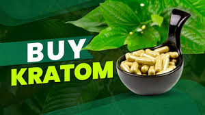 Exploring the Different Types of Kratom Powder and Their Uses